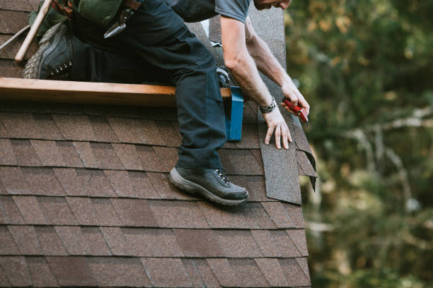 Roof Waterproofing Services in Blooming Prairie, MN